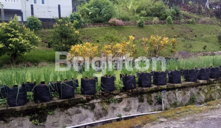 TAWANGMANGU LAND BESIDE RIVER HILL SUITABLE FOR VILLA