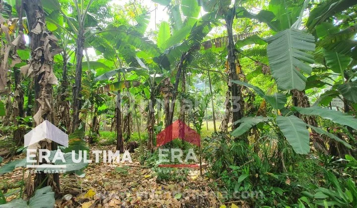 Tanah di Dago Cocok Untuk Cafe, Villa atau Tempat Usaha Lain Tanah di Dago Cocok Untuk Cafe, Villa atau Tempat Usaha Lain