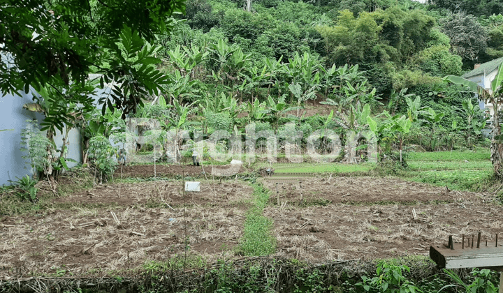 KAVLING DALAM KOMPLEK PERUMAHAN ROYAL VIEW RESIDENDE CIWARUGA