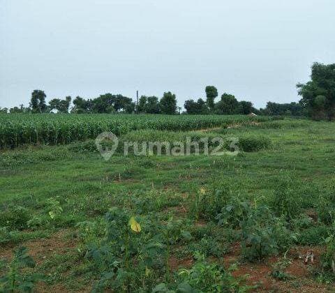 Dijual Tanah Industri 14ha Raya By Pass Gempol Pasuruan