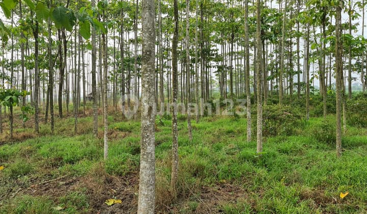 Lahan Best Location di Karawang Barat