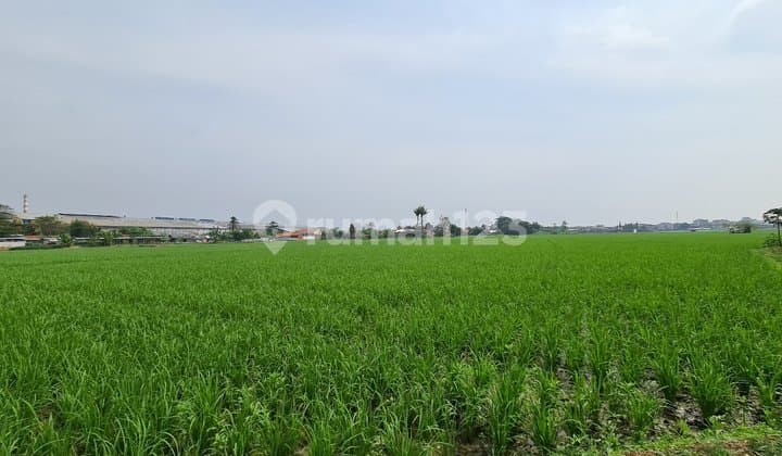 Large Plot of Land in the Center of Karawang City