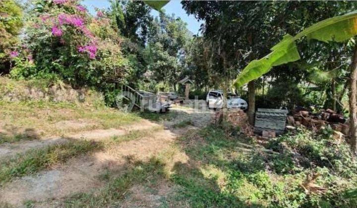 Dijual Cepat Tanah Di Ciawi Bogor Untuk Villa, Resort, Outbond Dan Hotel