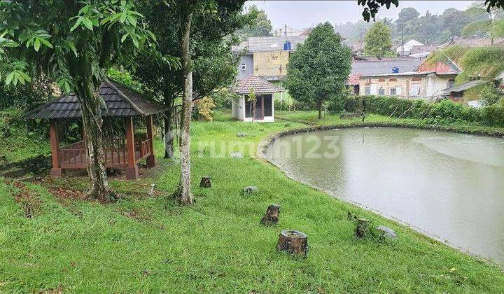Dijual Cepat Tanah Di Ciawi Bogor Untuk Villa, Resort, Outbond Dan Hotel