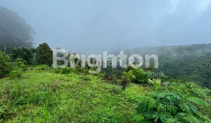 Tanah Strategis Di Kintamani