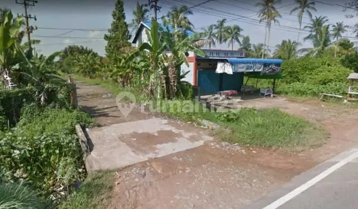 LAND OF 3.8HA IN WAJOK HILIR SIANTAN, PONTIANAK