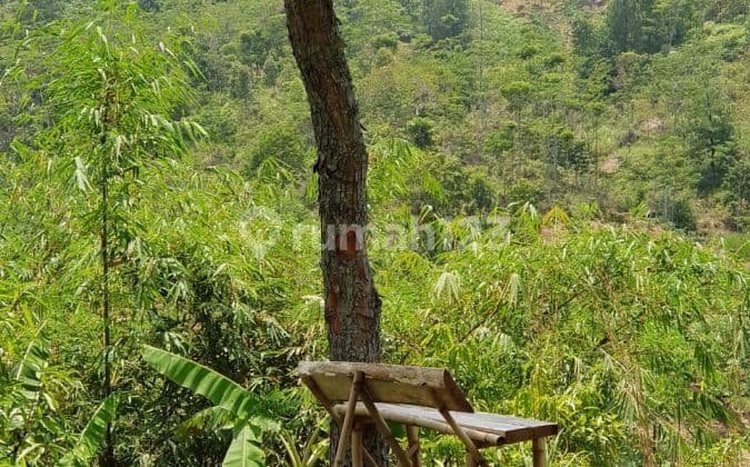 Tanah Luas di Leuwi Hejo Dijual Murah Sekali