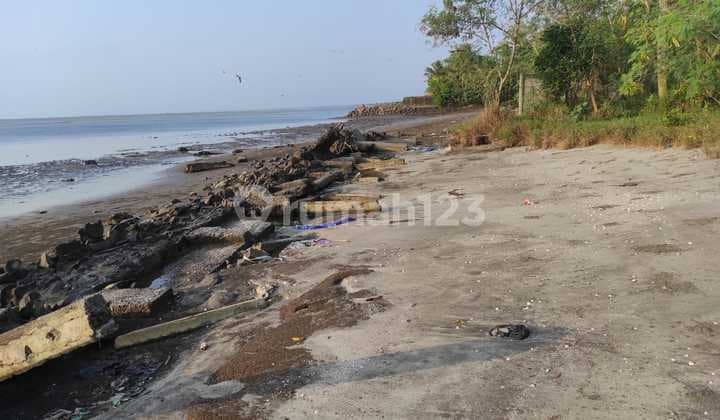 Dijual Tanah Dekat Exit Tol Tanjung Lesung Akses Pantai