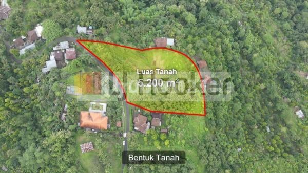 Land for sale in Kayu Putih Village Buleleng Suitable for Residential Villa or Investment