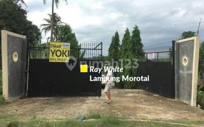 Tanah murah di Sidomulyo Lampung selatan