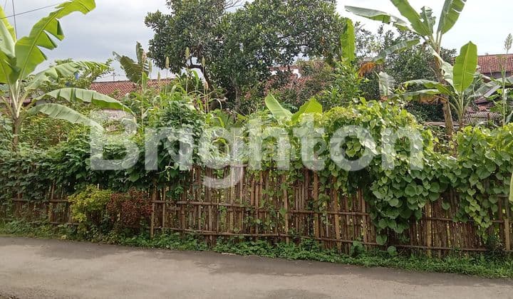 TANAH DATAR SIAP BANGUN DEKAT ANDANG PRANGENAN PURWOKERTO