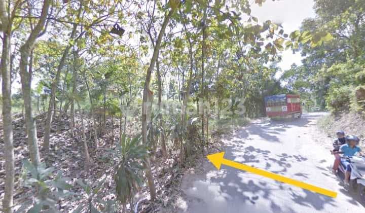 Tanah Way Laga Panjang Bandar Lampung