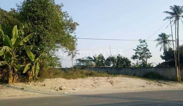 Tanah / Kavling Kabupaten Lebak Banten (V)