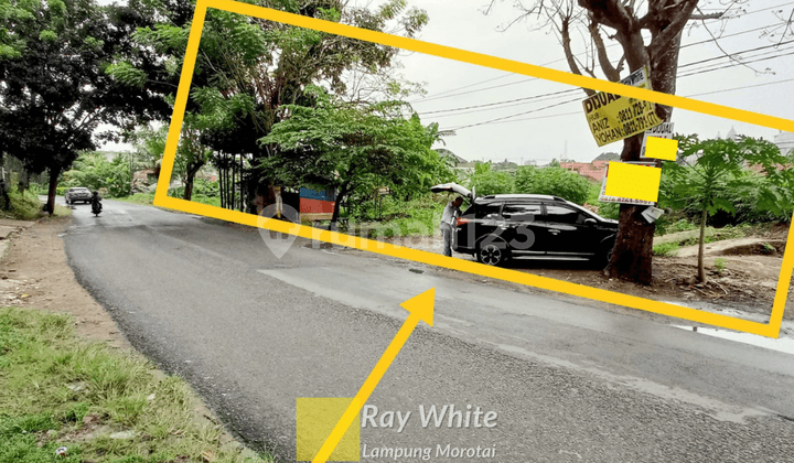 East Tanjung Karang Land