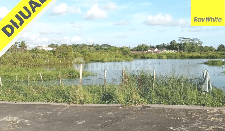 MURAH TANAH di Bengkulu