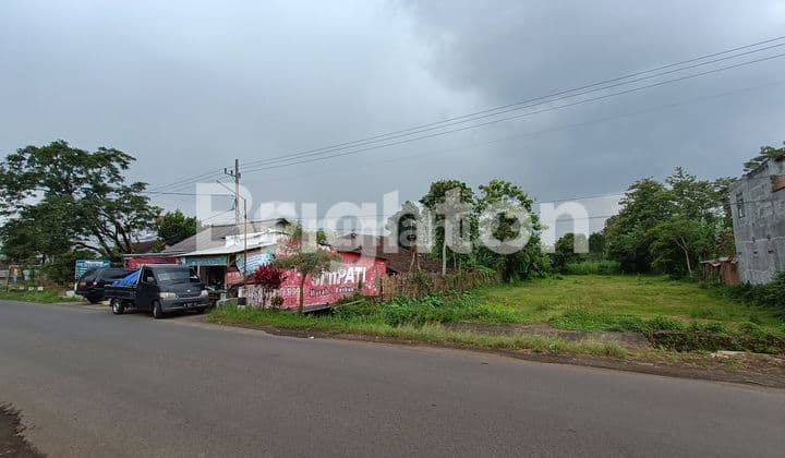Murah Buanget & Cocok Buat Semua Usaha! Tanah Sangat Strategis Nol Jalan Utama Singosari, Malang