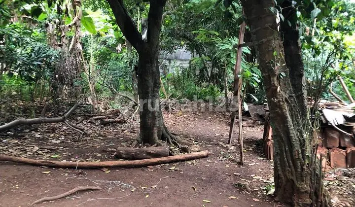 Tanah bentuk kotak di Jatibening