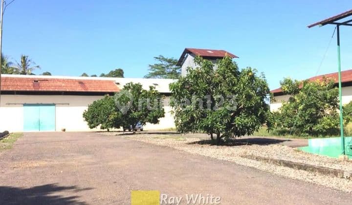 Cepat Tanah Bonus dua Unit Gudang