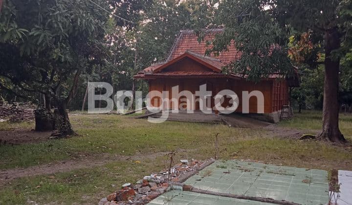 LAND ACQUIRED, INCLUDING TEAK WOOD HOUSE AND TEAK TREES, LOCATION GROBOGAN PURWODADI.