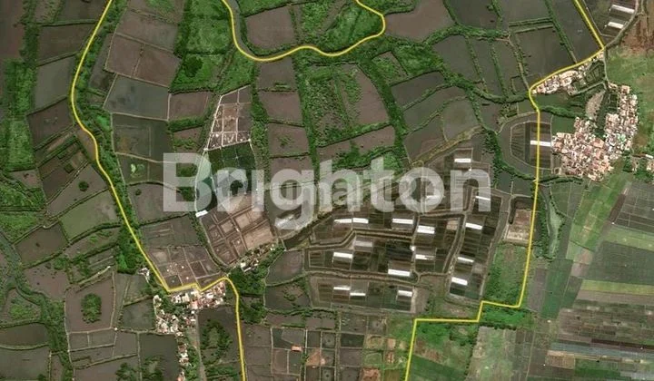 TANAH DI DAERAH GENDING PROBOLINGGO DEKAT PINTU TOL TANAH DI DAERAH GENDING PROBOLINGGO DEKAT PINTU TOL