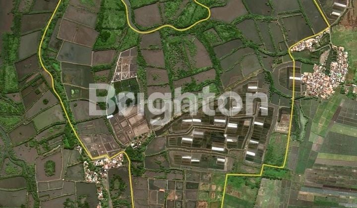 TANAH DI DAERAH GENDING PROBOLINGGO DEKAT PINTU TOL