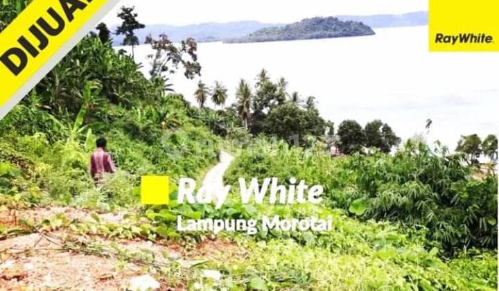 Tanah pantai murah di Pesawaran