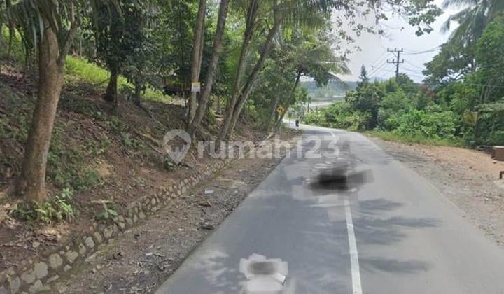 Tanah murah di teluk pandan pesawaran