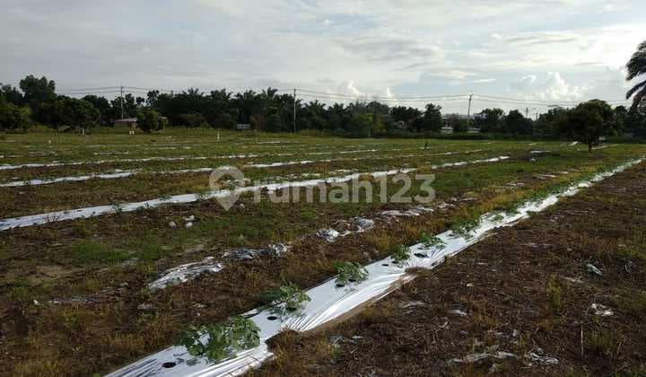 Tanah 1 kapling di Simpang Baru, Pekanbaru..