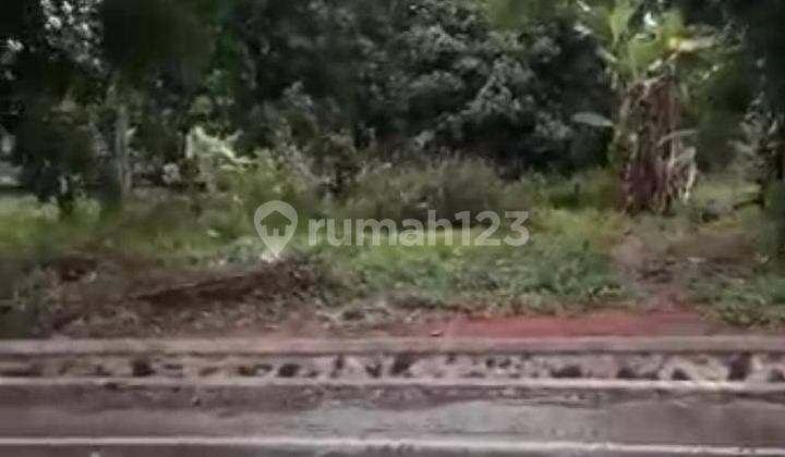 Cepat Tanah di Rangkas Bitung Lebak Banten