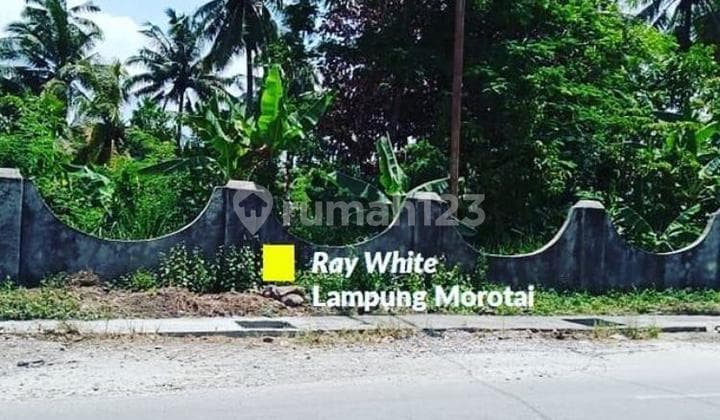 Tanah kosong murah di kota Metro Lampung