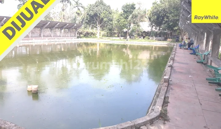 TANAH MURAH di Kalianda TANAH MURAH di Kalianda