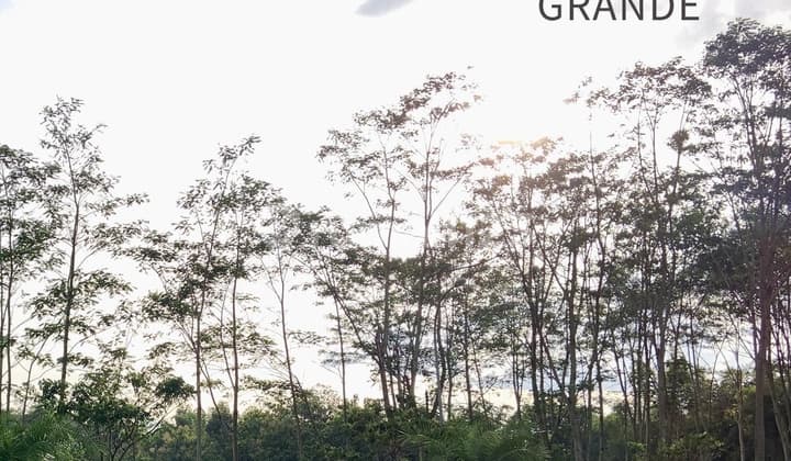 TANAH PREMIUM MURAH DI NOL JALAN KEMBAR UTAMA BINUS ARAYA MALANG