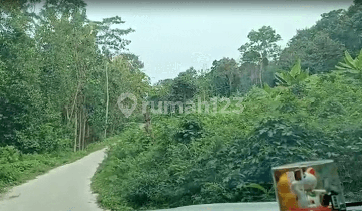 tanah murah ajb waringinkurung