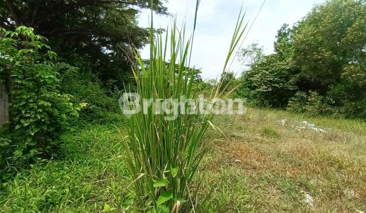 LOKASI RAMAI DEKAT SEKOLAH BEBAS BANJIR
