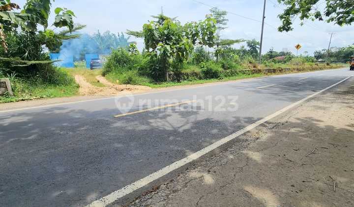 Land adjacent to the metro highway