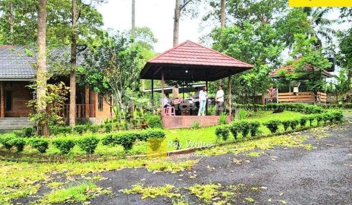 Tanah murah di Sukadana Ham Tanjung Karang Barat