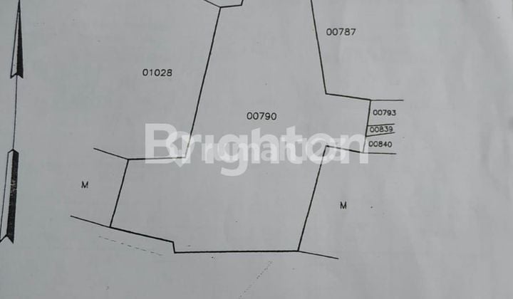 Tanah kavling 3,6 ha di pinggir jalan lintas Sumatera Lampung