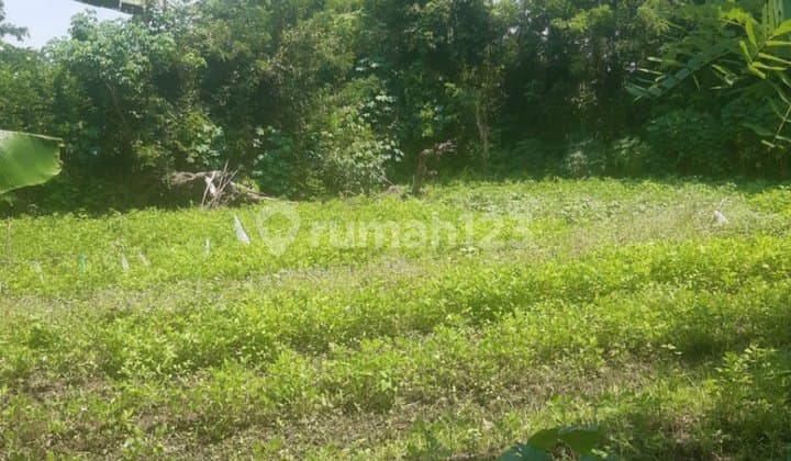 Super Cheap Land Banjarsari Cipocok