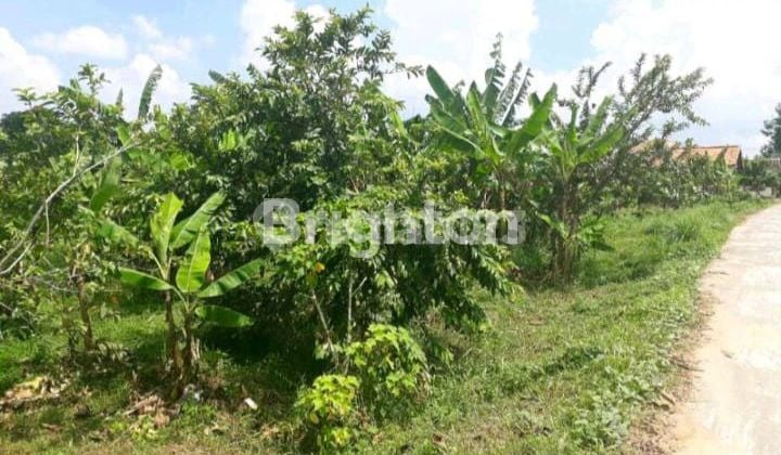 MURAH TANAH KERAS LOKASI RAMAI DEKAT PERUMAHAN