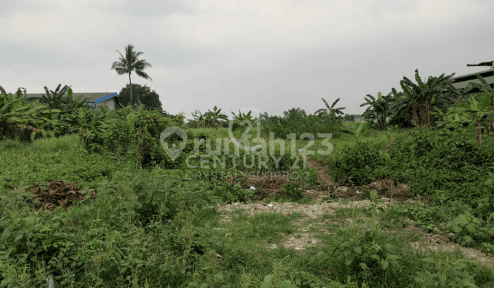 Tanah Stategis Bawah NJOP Dekat Tol Di Cikupa Tangerang
