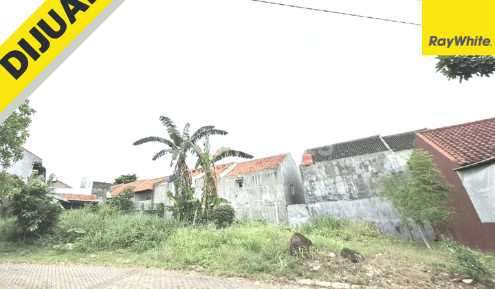 Tanah Murah di Kedamaian