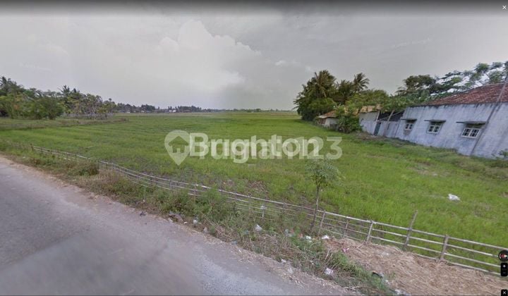 Tanah Kavling Luas di Jl. Raya Kronjo, Pasilian, Kabupaten Tangerang