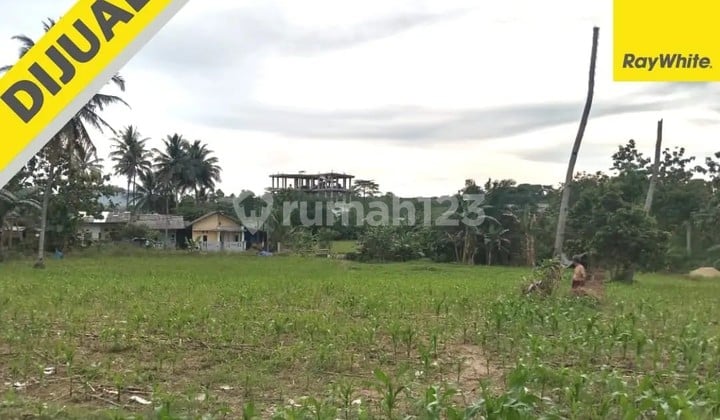 Jati Agung Land