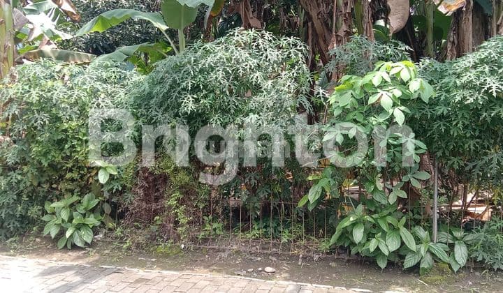 TANAH PEKARANGAN LOKASI KOMPLEK PERUMAHAN SETURAN