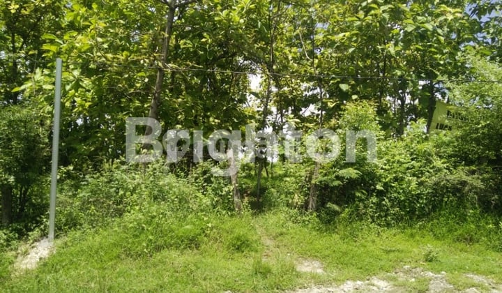 KAVLING RENGEL, TUBAN.