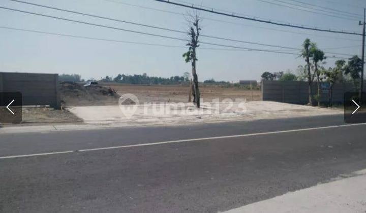Tanah Murah Di 0 Jl Raya Manyar Gresik, Daerah Industri Cocok Untuk Pabrik pergudangan Tanah Murah Di 0 Jl Raya Manyar Gresik, Daerah Industri Cocok Untuk Pabrik pergudangan