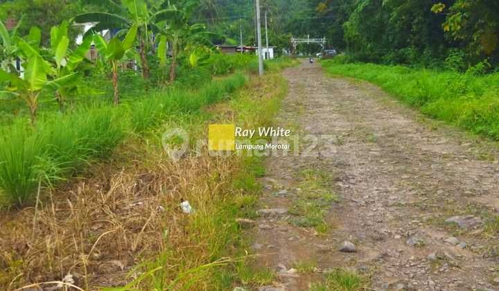 Tanah Perkebunan Nego Dekat ASir Terjun ay