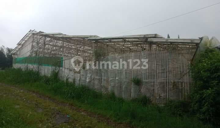 Tanah di Lembang Cocok untuk Usaha atau Perumahan Jarang Ada !