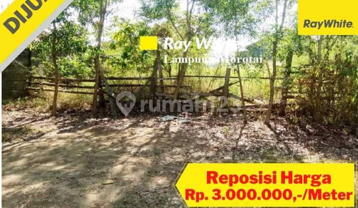 Tanah Siap Bangun Di Kedamaian Bandar Lampung