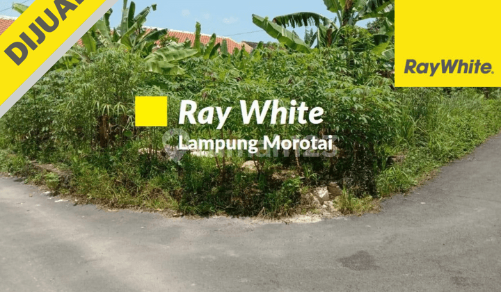 Tanah Murah Siap Bangun Di Bandar Lampung Tanah Murah Siap Bangun Di Bandar Lampung